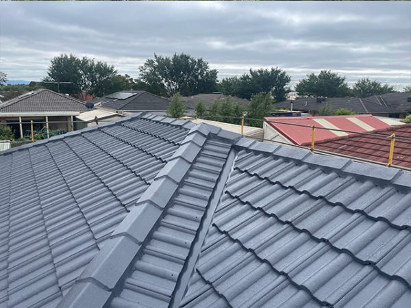roof13 roof13